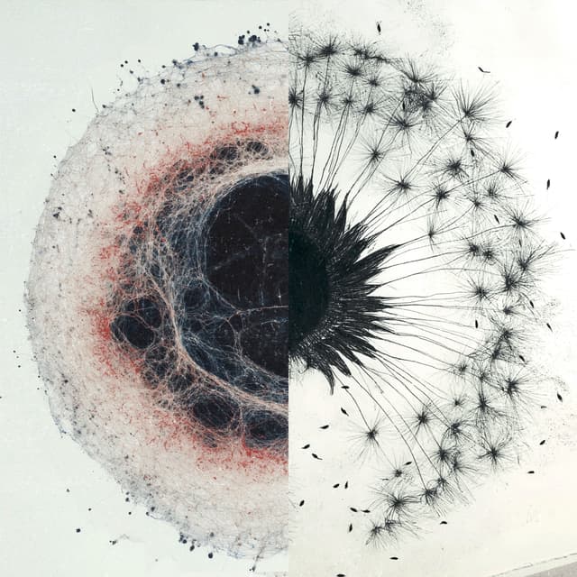 Album cover art for dandelions