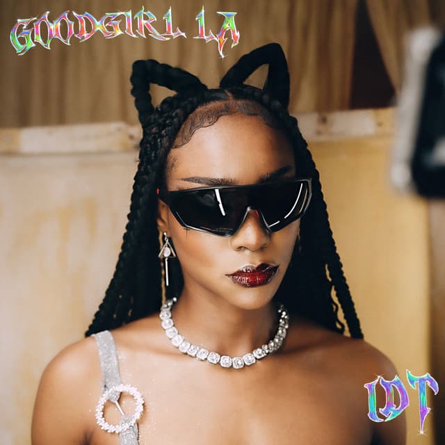 Album cover art for IDT