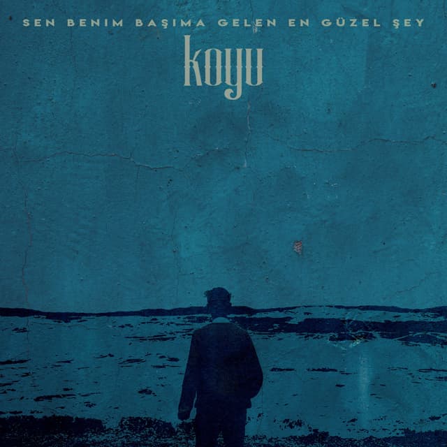 Album cover art for Sen Benim Başıma Gelen En Güzel Şey
