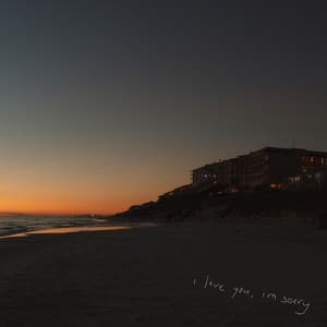 Album cover art for i love you, i'm sorry