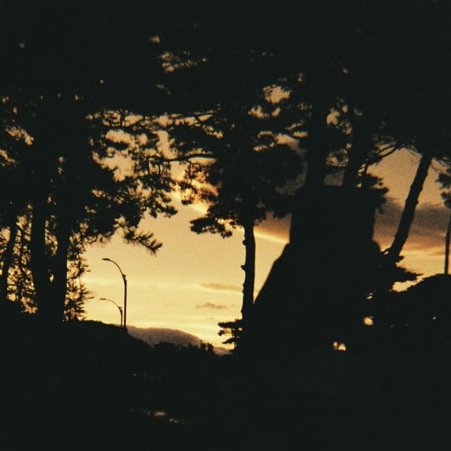 Album cover art for Let You Win