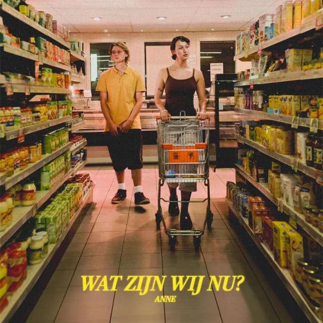 Album cover art for Wat Zijn Wij Nu?