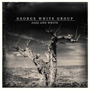 Album cover art for Jazz and White