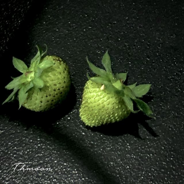 Album cover art for The glass