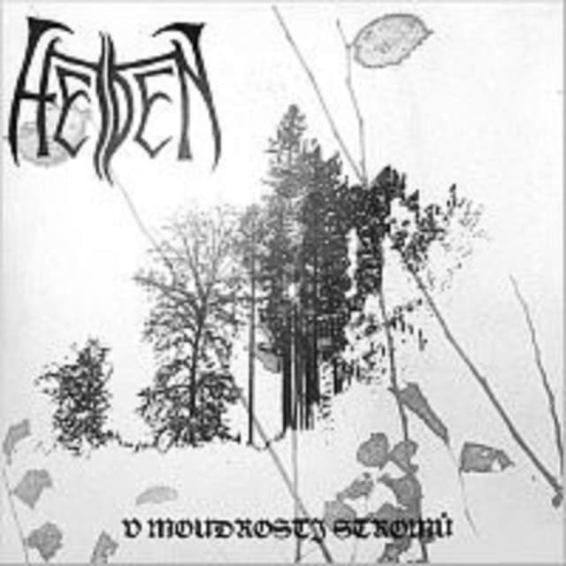 Album cover art for V Moudrosti Stromů