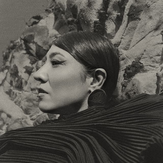 Album cover art for Dağlarına