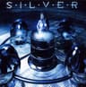 Silver (Funeral Class One)