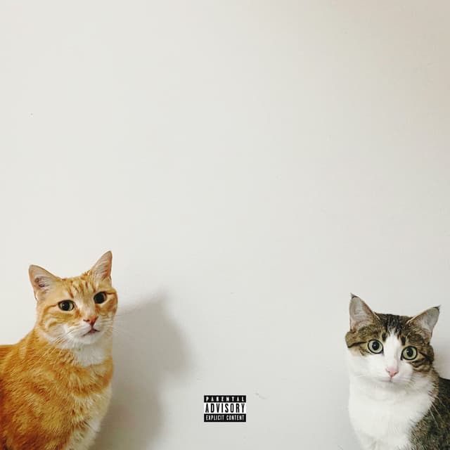 Album cover art for Dipro