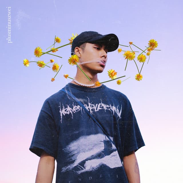 Album cover art for Plusminuszwei