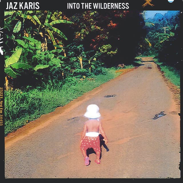 Album cover art for Into the Wilderness