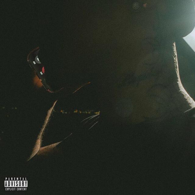 Album cover art for wyd