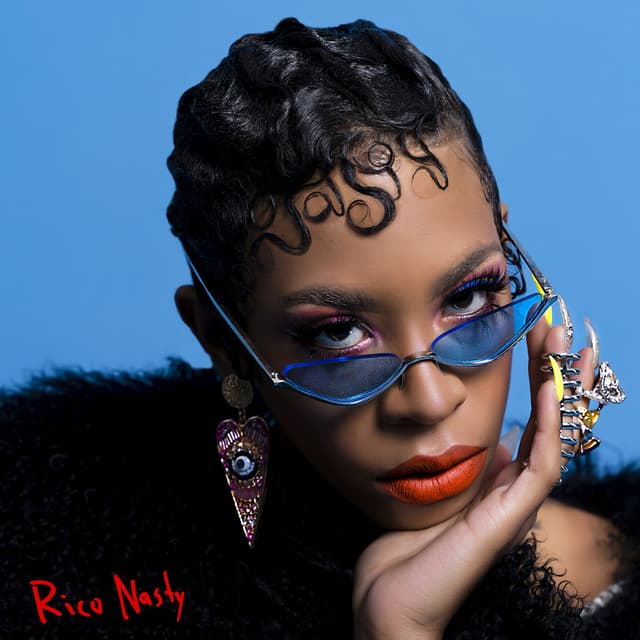 Album cover art for Nasty