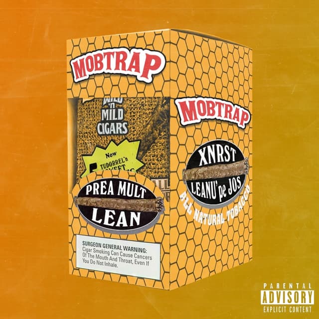 Album cover art for Prea Mult Lean Deluxe