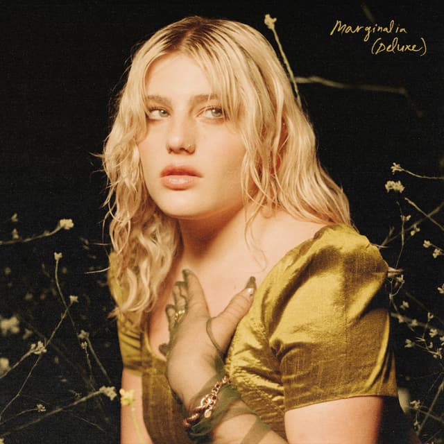 Album cover art for Marginalia