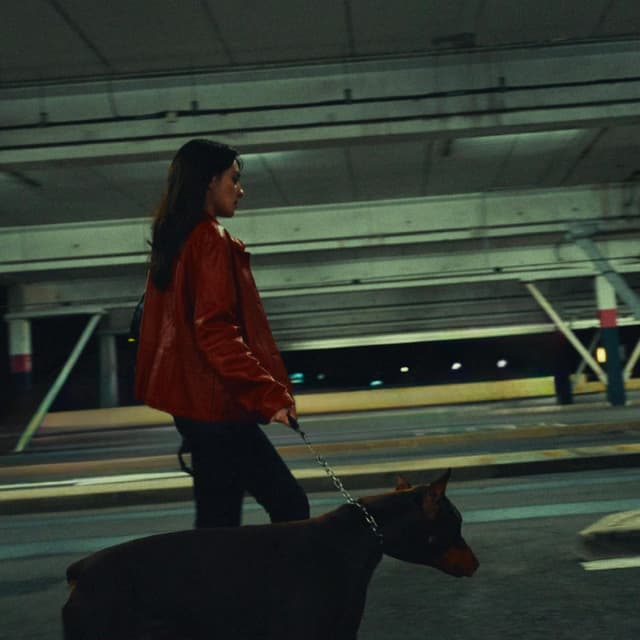Album cover art for Illégalement