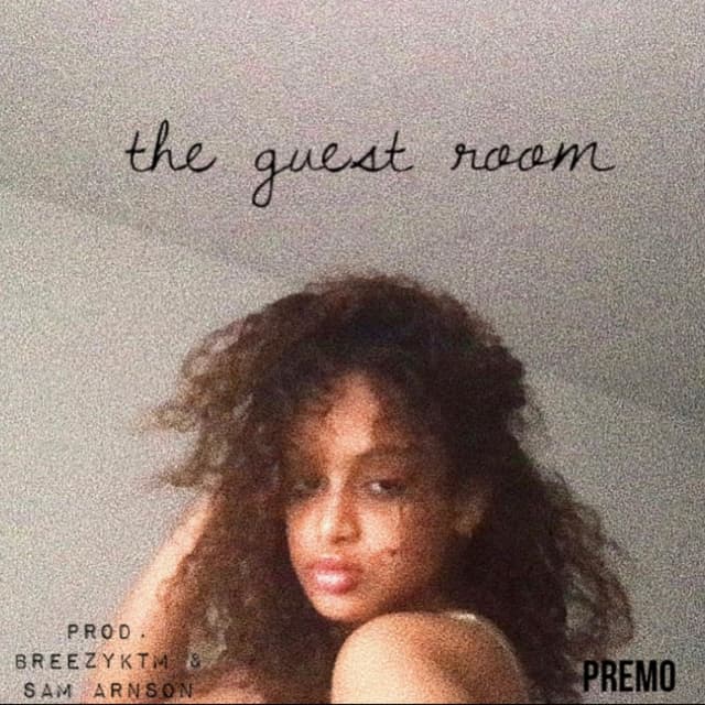 Album cover art for The Guest Room