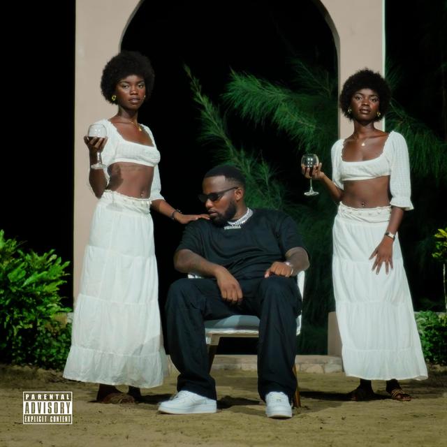 Album cover art for WAA