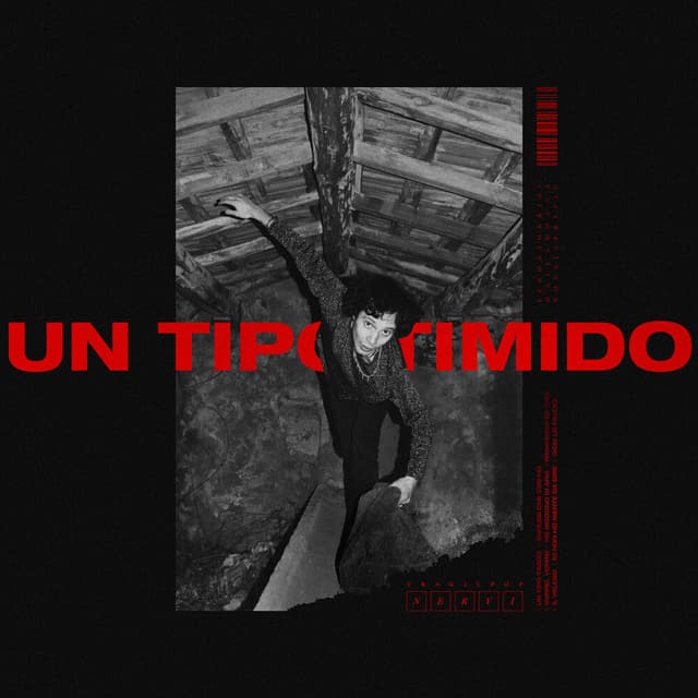 Album cover art for Un tipo timido