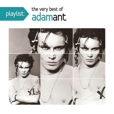 Album cover art for Playlist: The Very Best Of Adam Ant
