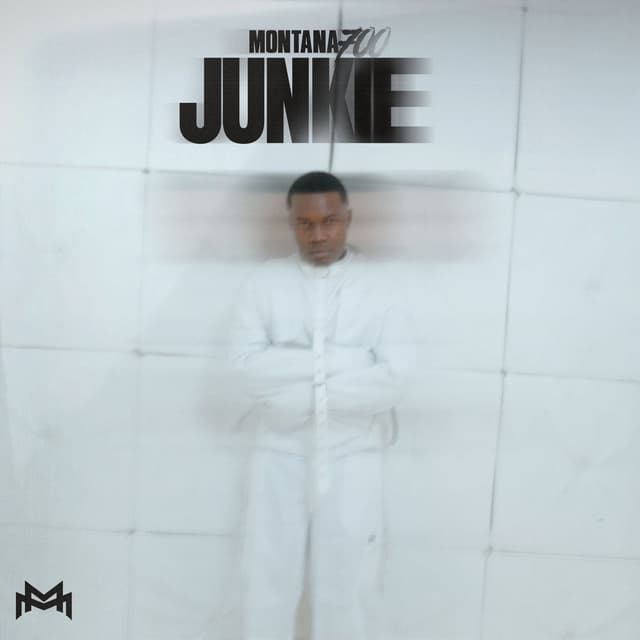 Album cover art for Junkie