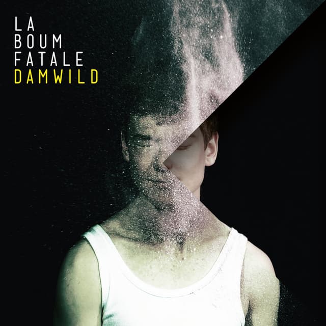 Album cover art for Damwild