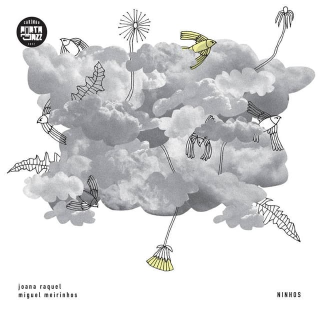 Album cover art for ninhos