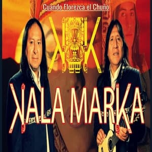 Album cover art for Cuando florezca el chuño