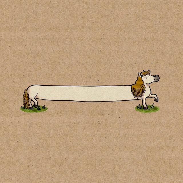 Album cover art for The Longest Pony