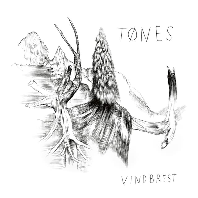 Album cover art for Vindbrest