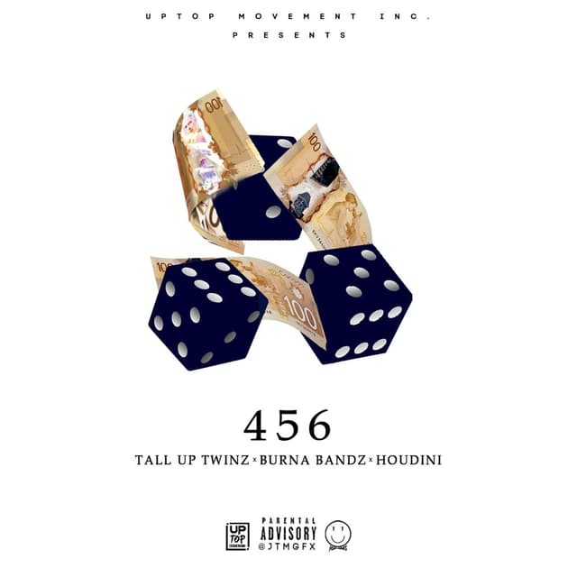 Album cover art for 456