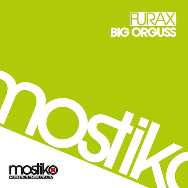 Album cover art for Big Orguss