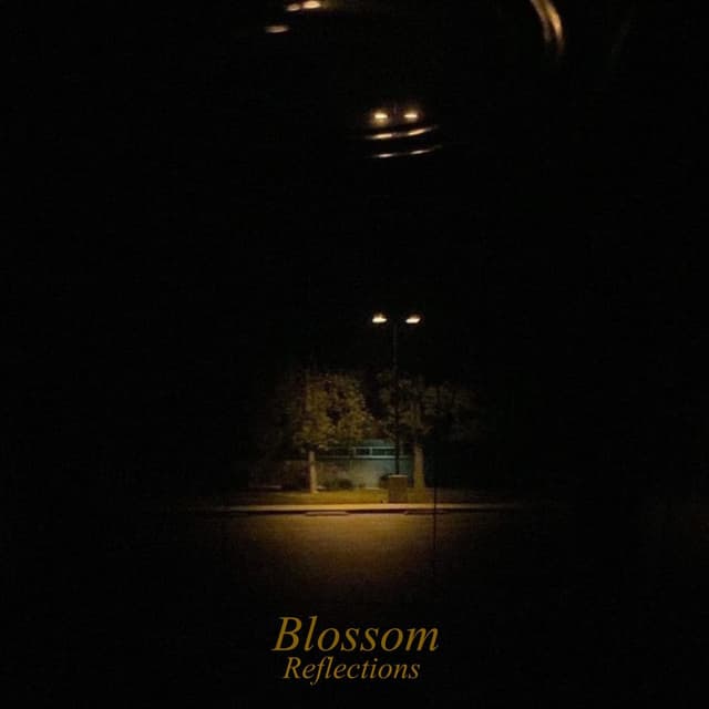 Album cover art for Reflections
