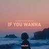 If You Wanna