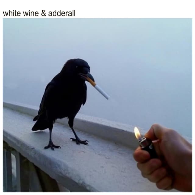 Album cover art for White Wine & Adderall