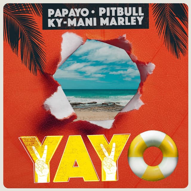 Album cover art for YAYO