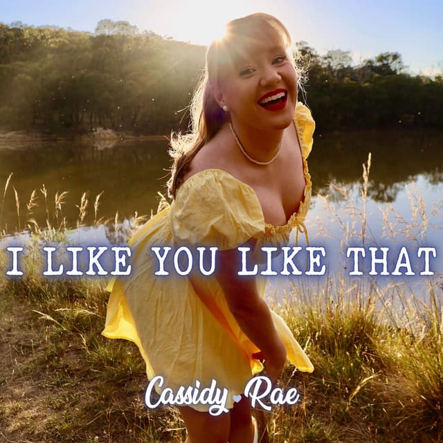Album cover art for I Like You Like That