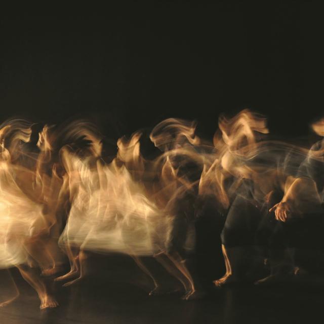 Album cover art for Les Viann