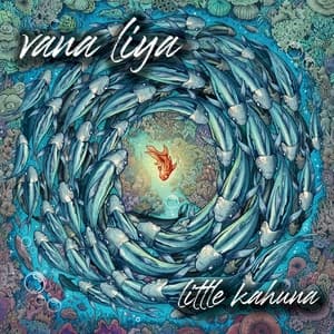 Album cover art for Little Kahuna