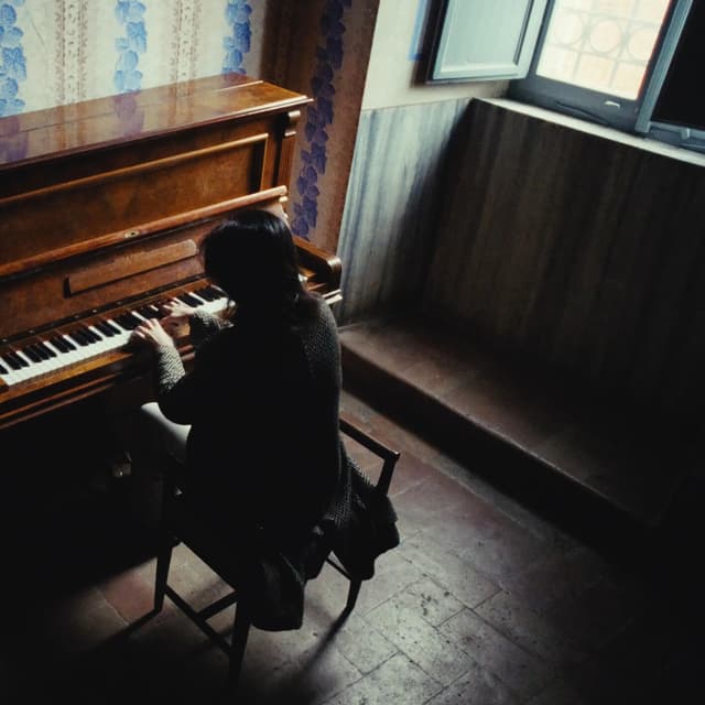 Album cover art for Stanze Memori