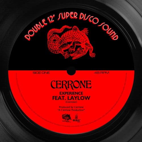 Album cover art for Experience