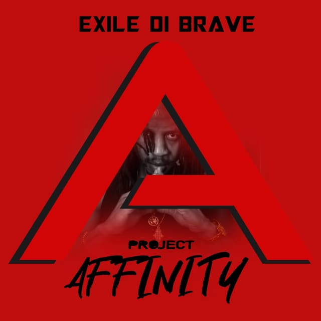 Album cover art for Project Affinity