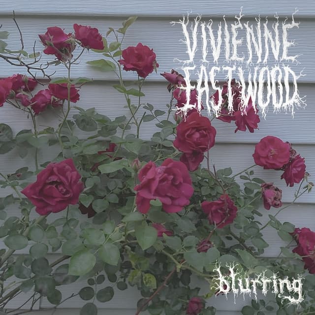 Album cover art for Blurring