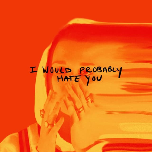 Album cover art for I Would Probably Hate You