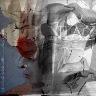 Album cover art for Niaz