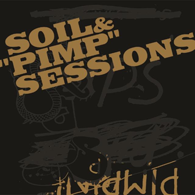 Album cover art for Pimpin'