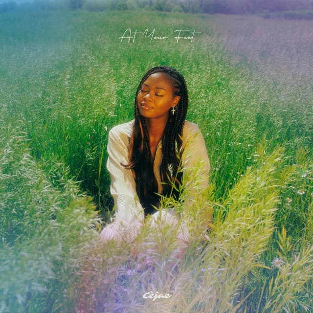 Album cover art for At Your Feet