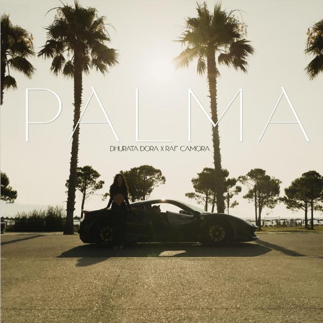 Album cover art for PALMA