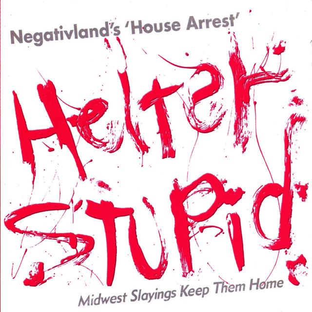 Album cover art for Helter Stupid