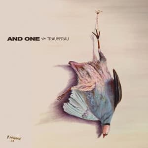 Album cover art for Traumfrau