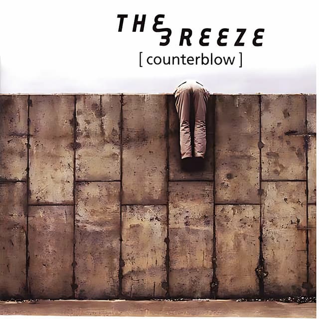 Album cover art for Counterblow